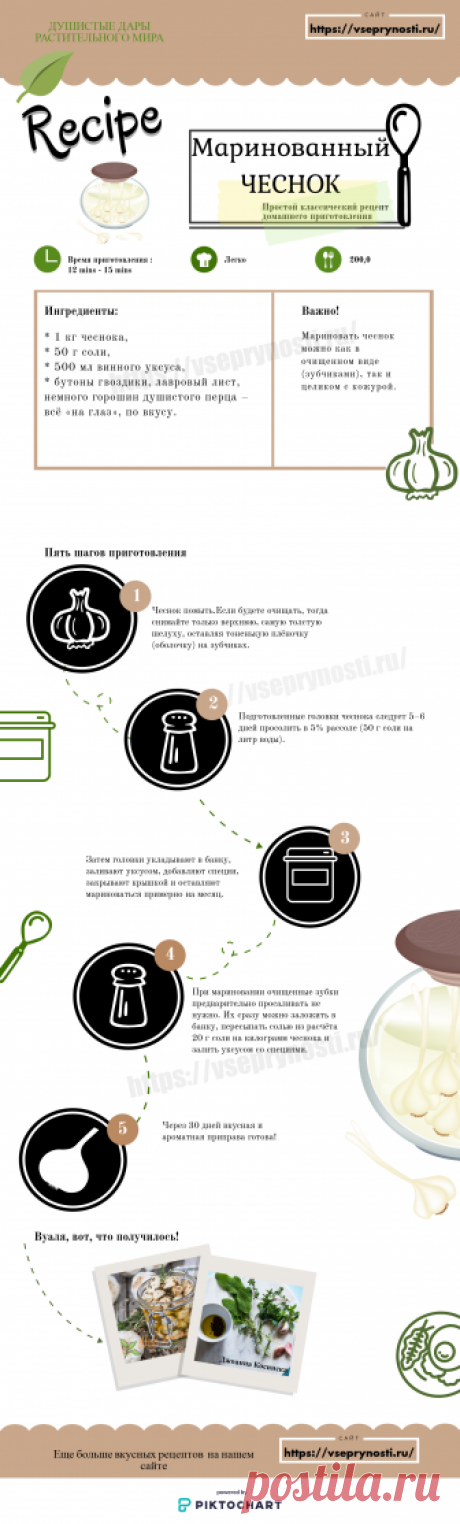 Маринованный чеснок своими руками - домашние рецепты