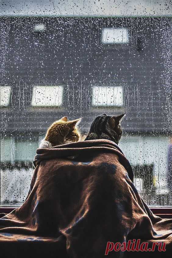 (40) Pinterest