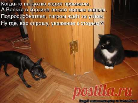 Набираю СОТРУДНИЦ для РАБОТЫ В ИНТЕРНЕТЕ! Работа прямо на дому,совмещая с учебой,ухаживая за ребенком,в свободное для вас время.Деньги вкладывать не надо.Бесплатное онлайн oбучение.КТО ЖЕЛАЕТ ПРОВОДИТЬ ВРЕМЯ В ИНТЕРНЕТЕ С ПОЛЬЗОЙ ставьте + в комментарии,расскажу как