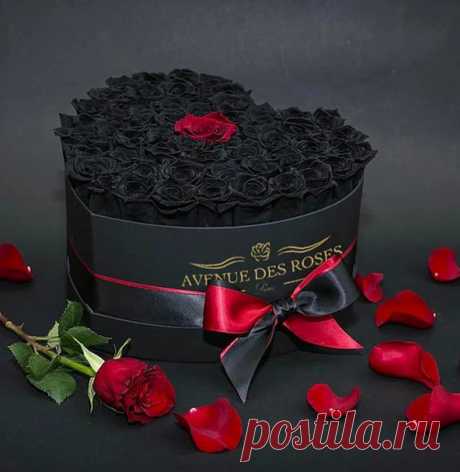 Эля - Google+