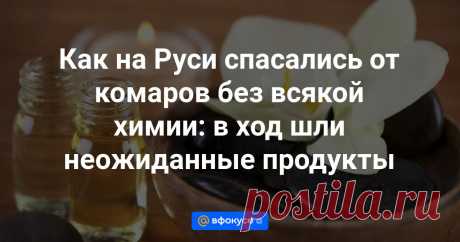 Как на Руси спасались от комаров без всякой химии: в ход шли неожиданные продукты Самые эффективные средства быстро и своими руками.
