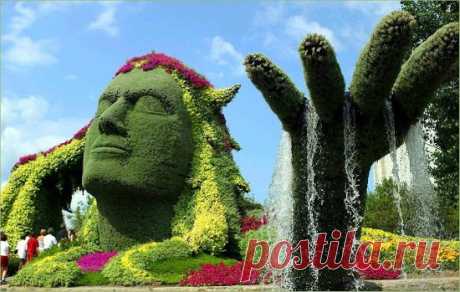 Топиарное искусство 

Topiary–топиари, топиарное искусство–орнаментальное 
или фантазийное садоводство, искусство фигурной 
стрижки деревьев и кустарников.