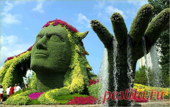 Топиарное искусство 

Topiary–топиари, топиарное искусство–орнаментальное 
или фантазийное садоводство, искусство фигурной 
стрижки деревьев и кустарников.