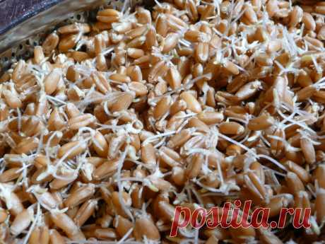 Эти продукты разжижают кровь. И тромбов не будет!