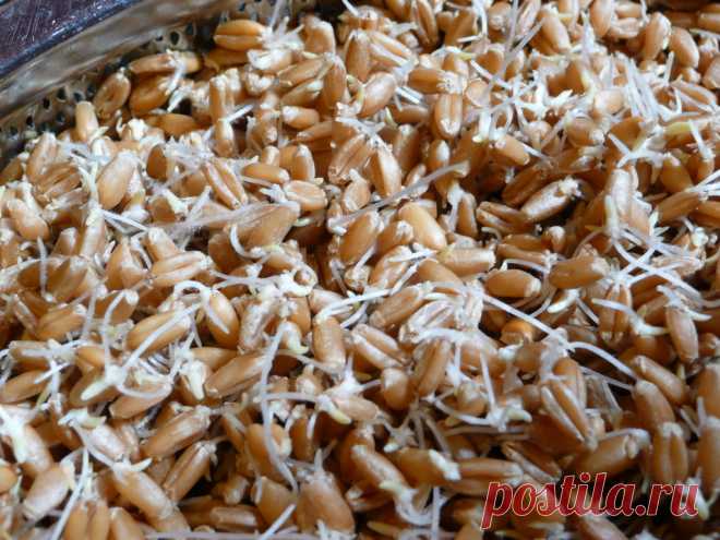 Эти продукты разжижают кровь. И тромбов не будет!