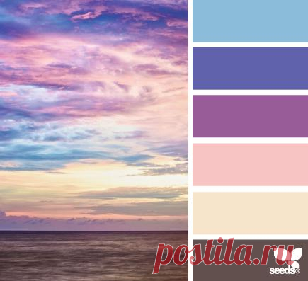 Design Seeds® | find your palette