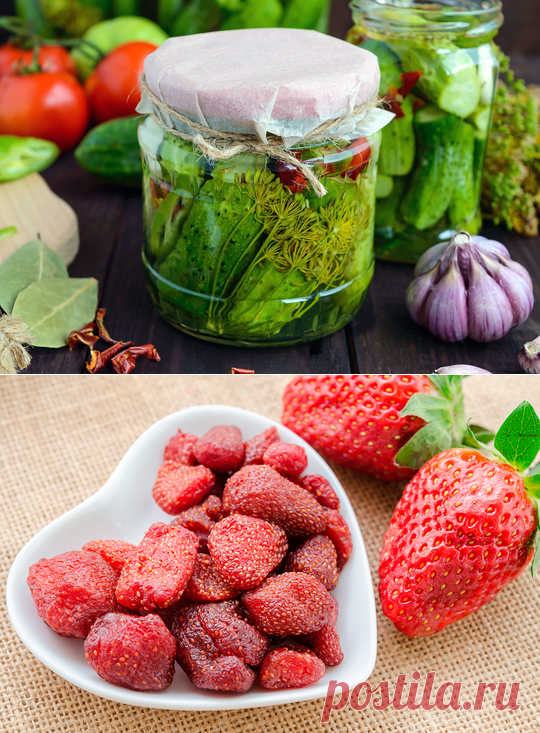 Рецепты заготовок на зиму\n | Официальный сайт кулинарных рецептов Юлии Высоцкой