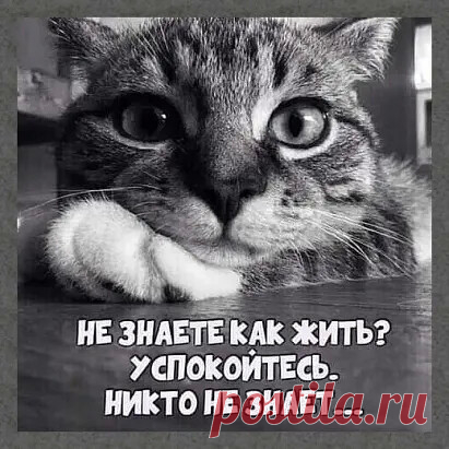 (8) Мой Мир@Mail.Ru