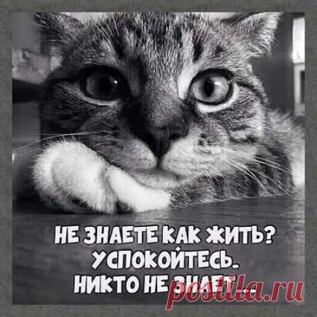 (8) Мой Мир@Mail.Ru