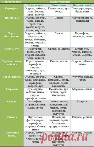 Севооборот. Чередование овощей на грядках - севооборот, выращивание овощей, чередование культур, организация грядок