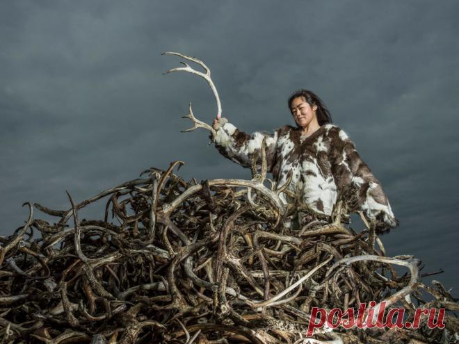 15 невероятных ФОТО Чукотки | Russia Beyond | Яндекс Дзен