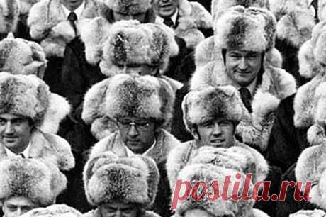Что за зверь этот пыжик, из меха которого носили шапки в Советском Союзе? / Назад в СССР / Back in USSR