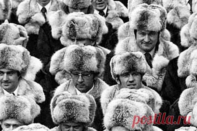 Что за зверь этот пыжик, из меха которого носили шапки в Советском Союзе? / Назад в СССР / Back in USSR