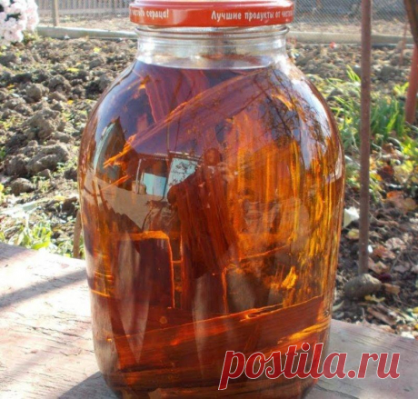 Сама делаю коньяк из виноградного жмыха и дубовых щепок — даже зять, ценитель напитков, в восторге
