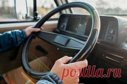 Раскрыта возможная цель водителя перехваченного в колонии грузовика с оружием