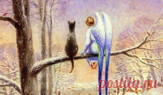 Что заказываешь, то и получаешь…
Женщина едет раздраженная в троллейбусе и думает:
– Пассажиры – хамы и грубияны. Муж – пьяная скотина. Дети – двоечники и хулиганы. А я – такая бедная и несчастная…
За спиной у нее стоит ангел-хранитель с блокнотиком и все записывает по пунктикам:
1. Пассажиры – хамы и грубияны.
2. Муж – пьяная скотина… и т.д.
Потом перечитал и задумался:
– И зачем ей это нужно? Но если заказывает, будем исполнять…
http://fit4brain.com/621