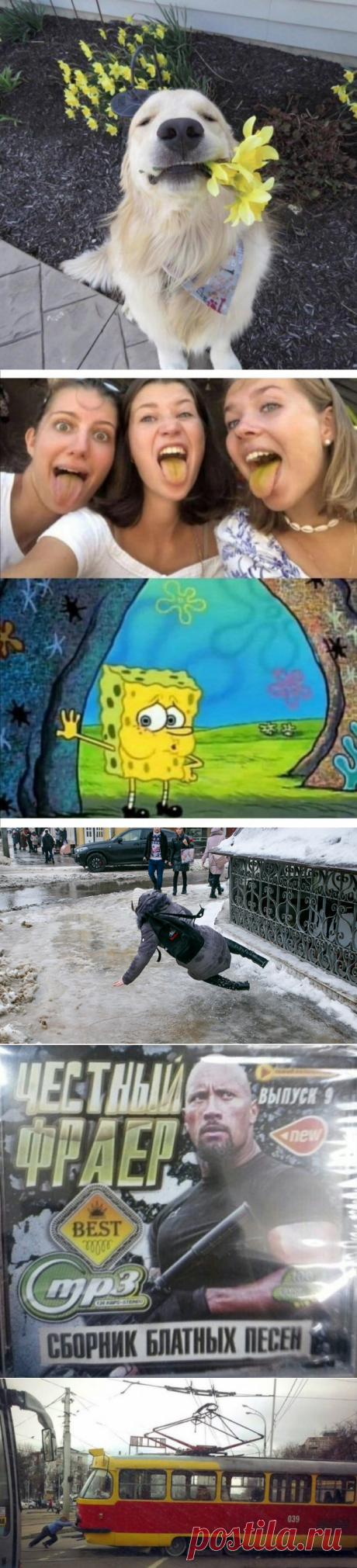 Подборка прикольных картинок и фотографий-271