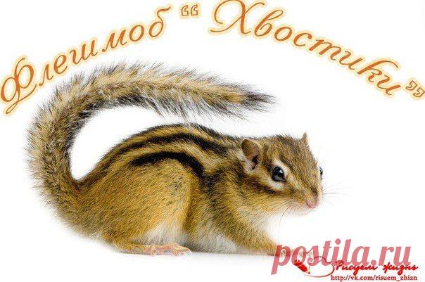 Семья, времени у нас совсем не много,а сумма довольно большая... Но мы верим , что обязательно все у нас получится! Многие из вас уже помогали и не раз, кто то только вступил в группу и думает , что его 10 рублей не помогут, а ведь это совершенно не так!!! Каждый рубль уменьшает сумму сбора! Так давайте покажем сегодня на деле, что важна каждая копейка .