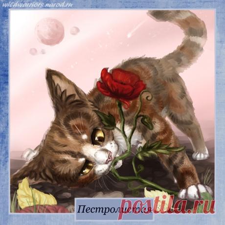 Spottedleaf. Warriors by Romashik-arts on DeviantArt