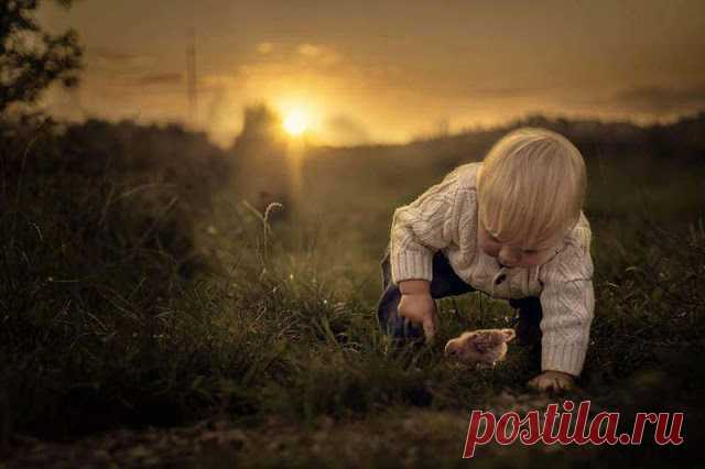 Дети приходят к родителям. Не наоборот