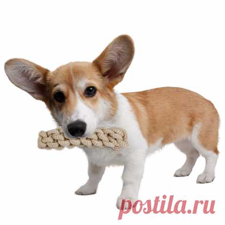 Купить Игрушка плетеная веревка для кошек и собак по низкой цене
