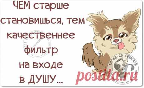 Обо всем / Чем старше становишься, тем качественнее фильтр на входе в душу...