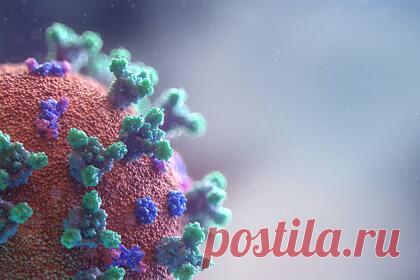 Врач предупредил россиян об опасном последствии COVID-19. Попадая в организм человека, коронавирус может запустить процесс преждевременного старения. Это связано с нервным истощением на фоне стресса из-за болезни. При поражении легких в организме человека нарушается газообмен, и, следовательно, процесс поставки кислорода к мозгу.