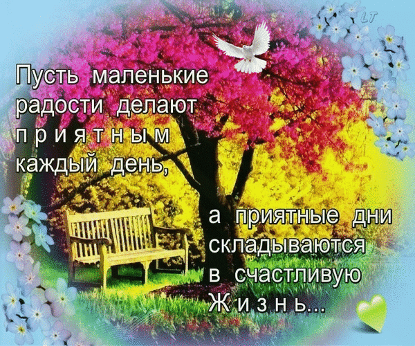 ♥ღ♥ 