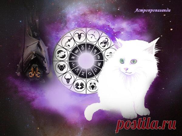 12 февраля 2019. Астрологические советы на день | Астропропаганда | Яндекс Дзен

Автор: астролог Нина Стрелкова. 
Хорошо в этот день активно отдыхать, участвовать в культурных мероприятиях, общаться с людьми, разделяющими ваши интересы, посещать родственников. День подходит для покупки и изготовления художественные изделий, для любой работы руками. Хороший день для покупки сельскохозяйственных животных, семян овощей и цветов. Хорошо покупать одежду, а также шить ее, делать украшения...