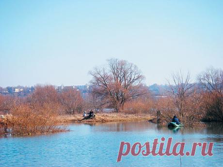 На берега открытой воды  
Водоемы в апреле сильно разнятся по условиям ловли, что зависит от уровня половодья, скорости течения, прозрачности воды. В первую очередь привлекают внимание рыболовов верховья и средние участки не…