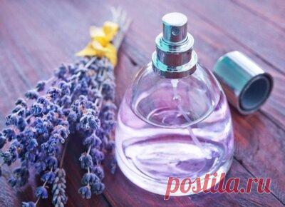 ТОП подарков жене на 35 лет: советы и списки презентов на День рождение любимой супруге