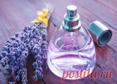 ТОП подарков жене на 35 лет: советы и списки презентов на День рождение любимой супруге