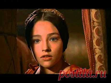 Чай с бергамотом – полезные свойства и противопоказания | БУДЬТЕ ЗДОРОВЫ!