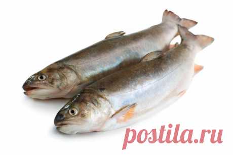 Как из горбуши приготовить сёмгу? | Еда и кулинария