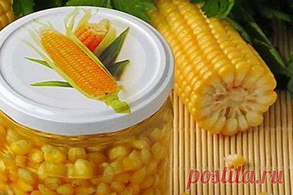 Консервированная кукуруза - лучшие рецепты