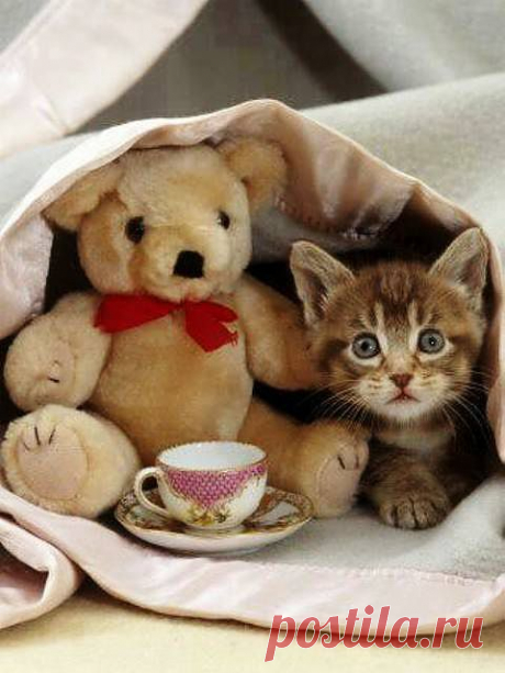 ❁⁀ ♥ ⁀✿ ❁⁀ ♥ ⁀✿
