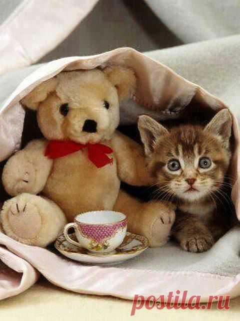 ❁⁀ ♥ ⁀✿ ❁⁀ ♥ ⁀✿