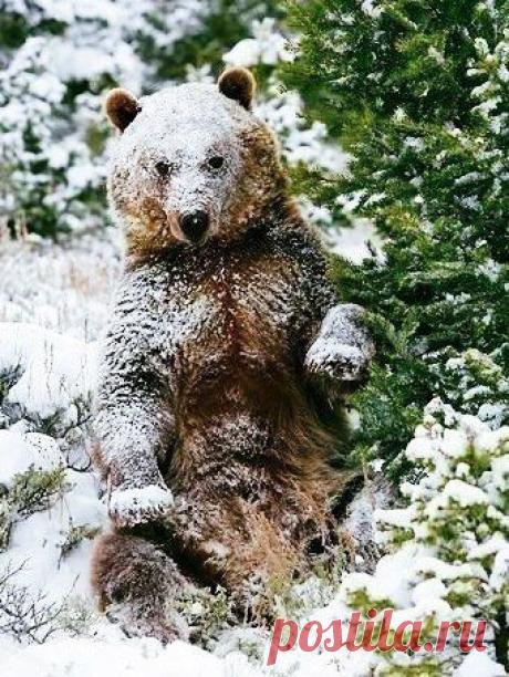 * * * * * * * * * * *