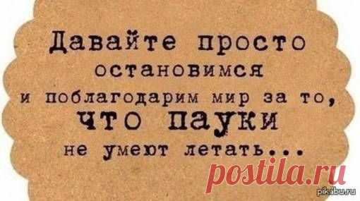 И вправду хорошо, что не летают 44.jpg (510×285)