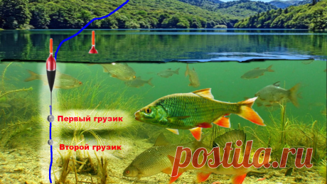 Как я настраиваю летнюю поплавочную удочку | Тонкости рыбалки | Яндекс Дзен