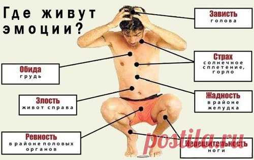 КАК ЭМОЦИИ ВЛИЯЮТ НА ЗДОРОВЬЕ.