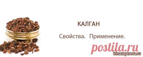Калган. Полезные и лечебные свойства, применение, Корень калгана | Блог Ирины Зайцевой