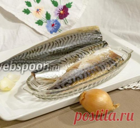 Скумбрия провесная
