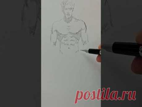 как рисовать анатомию тела человека #рисунок #drawing #sketch #творчество