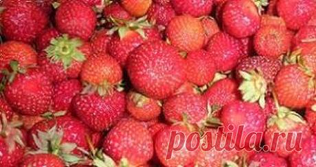 РЕЦЕПТЫ | Клубника, перетертая с сахаром