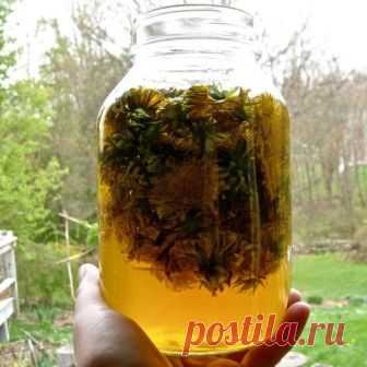 Самое мощное масло быстро устранит боли в суставах, шее, артрит, подагру, кисты в груди, головные боли и не только!    Одна... Здоровье - Мой Мир@Mail.ru Самое мощное масло быстро устранит боли в суставах, шее, артрит, подагру, кисты в груди, головные боли и не только!    Одна...  Здоровье в социальной сети Мой Мир