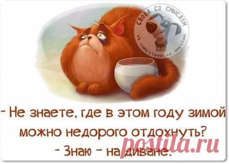 мудрязматики