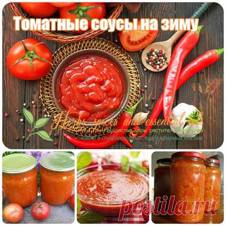 Томатный соус на зиму - самые вкусные рецепты с фото и видео
