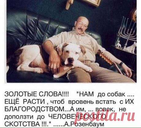 Знакомства для серьезных отношений    love-real.ru       
.