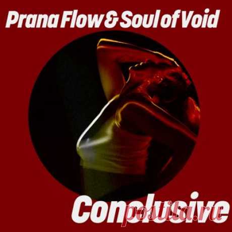 Prana Flow, Soul Of Void - Conclusive
